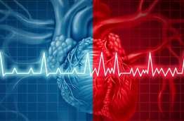 Doenças Cardiovasculares Hereditárias: Compreendendo Síndromes Arrítmicas, Miocardiopatias, Arteriopatias e Hipercolesterolemia